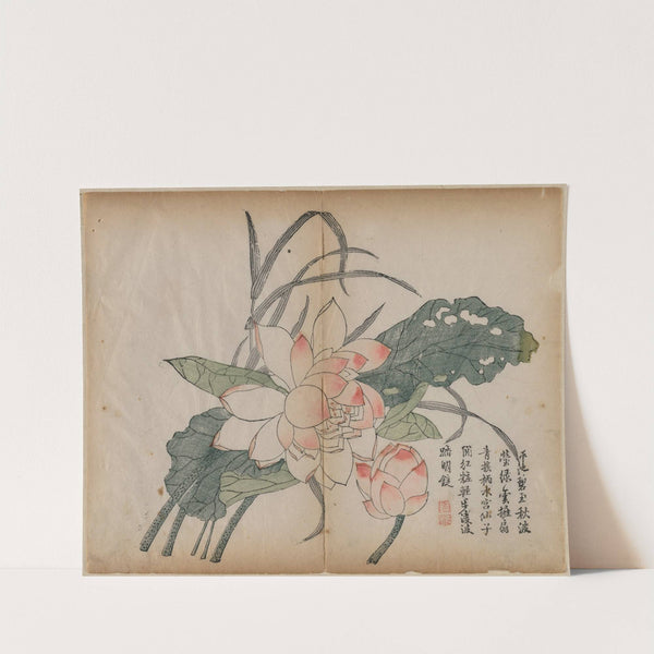 Flowering Lotus and Bud by Anonymous