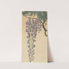 Flowering wisteria by Ohara Koson