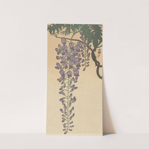 Flowering wisteria by Ohara Koson