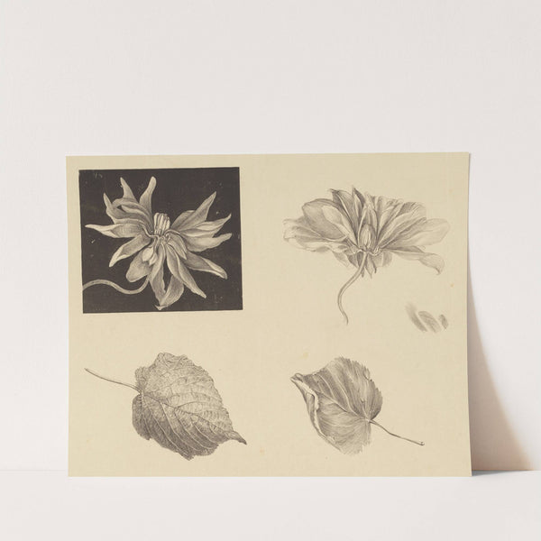 Flowers and Leaves by Theo van Hoytema