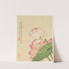 Flowers Pl.04 (19th Century) by Liang Yuwei