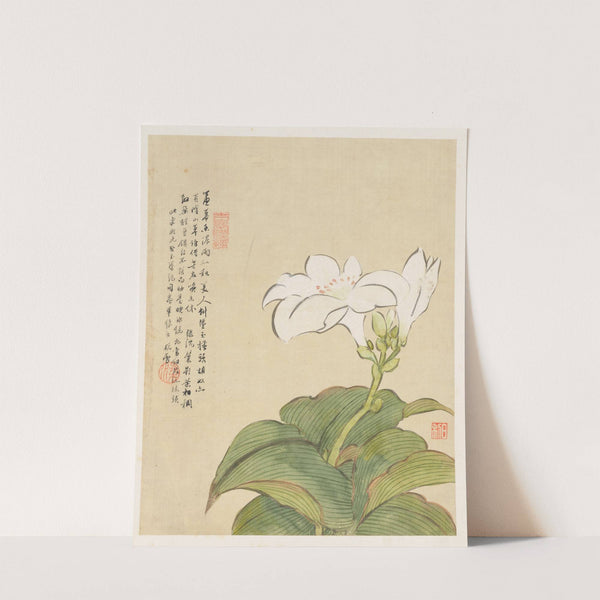 Flowers Pl.07 (19th Century) by Liang Yuwei