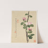 Flowers Pl.11 (19th Century) by Liang Yuwei