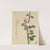 Flowers Pl.11 (19th Century) by Liang Yuwei