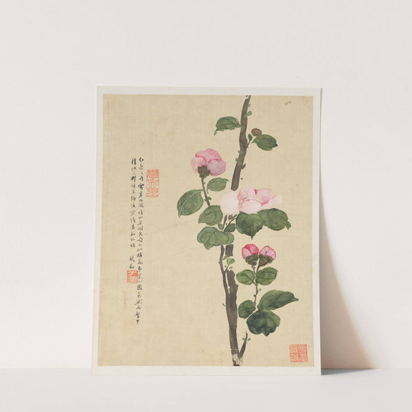 Flowers Pl.11 (19th Century) by Liang Yuwei