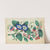 Flowers with butterfly (1800-1899)