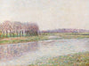 Flusslandschaft mit Weiden (1896)