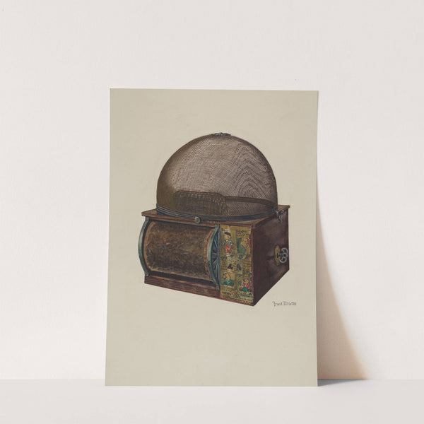 Fly Catcher by Frank McEntee