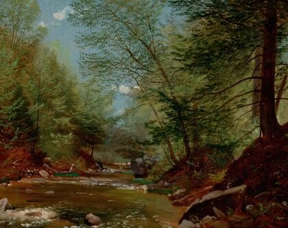Fly Fishing