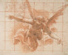 Flying Angel