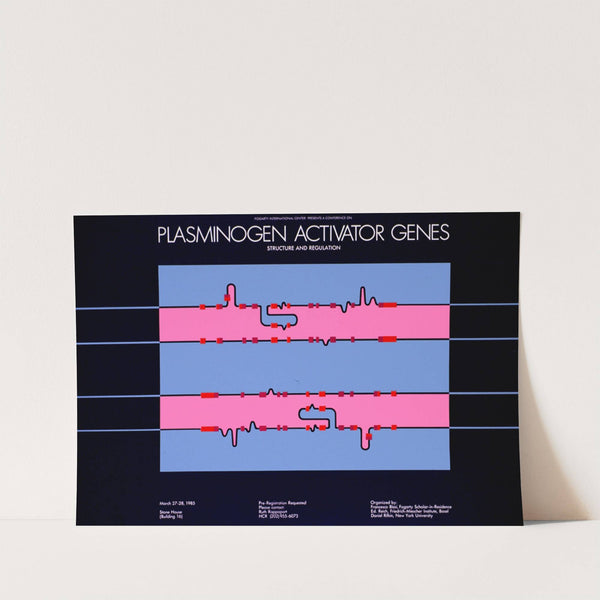 Fogarty International Center presents a conference on plasminogen activator genes by National Institutes of Health