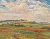 Follower Pasture Landscape In The Summer Light