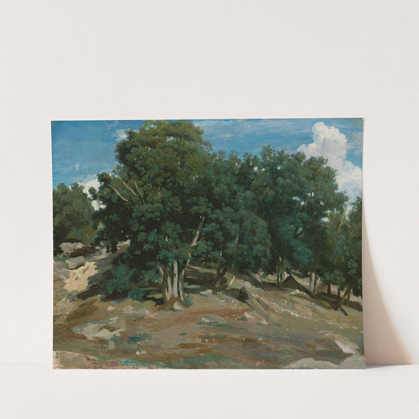 Fontainebleau; Oak Trees at Bas-Bréau by Jean-Baptiste-Camille Corot