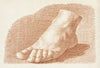 Foot Study