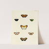Foreign butterflies occurring in the three continents Asia, Africa and America Pl.021 (1779-1782) by Pieter Cramer