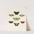 Foreign butterflies occurring in the three continents Asia, Africa and America Pl.069 (1779-1782) by Pieter Cramer
