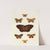 Foreign butterflies occurring in the three continents Asia, Africa and America Pl.109 (1779-1782) by Pieter Cramer