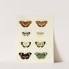 Foreign butterflies occurring in the three continents Asia, Africa and America Pl.144 (1779-1782) by Pieter Cramer