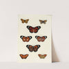 Foreign butterflies occurring in the three continents Asia, Africa and America Pl.180 (1779-1782) by Pieter Cramer