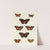 Foreign butterflies occurring in the three continents Asia, Africa and America Pl.180 (1779-1782) by Pieter Cramer