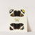 Foreign butterflies occurring in the three continents Asia, Africa and America Pl.192 (1779-1782) by Pieter Cramer