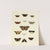 Foreign butterflies occurring in the three continents Asia, Africa and America Pl.204 (1779-1782) by Pieter Cramer