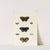 Foreign butterflies occurring in the three continents Asia, Africa and America Pl.294 (1779-1782) by Pieter Cramer