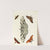 Foreign butterflies occurring in the three continents Asia, Africa and America Pl.334 (1779-1782) by Pieter Cramer