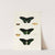 Foreign butterflies occurring in the three continents Asia, Africa and America Pl.360 (1779-1782) by Pieter Cramer