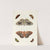 Foreign butterflies occurring in the three continents Asia, Africa and America Pl.362 (1779-1782) by Pieter Cramer