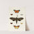 Foreign butterflies occurring in the three continents Asia, Africa and America Pl.365 (1779-1782) by Pieter Cramer