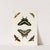 Foreign butterflies occurring in the three continents Asia, Africa and America Pl.389 (1779-1782) by Pieter Cramer