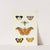 Foreign butterflies occurring in the three continents Asia, Africa and America Pl.395 (1779-1782) by Pieter Cramer