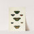 Foreign butterflies occurring in the three continents Asia, Africa and America Pl.403 (1779-1782) by Pieter Cramer