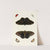 Foreign butterflies occurring in the three continents Asia, Africa and America Pl.417 (1779-1782) by Pieter Cramer