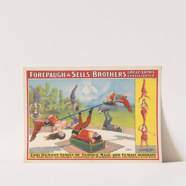 Forepaugh & Sells Brothers great shows consolidated. Carl Damann family of famous male and female acrobats… (1899) by Strobridge & Co. Lith.