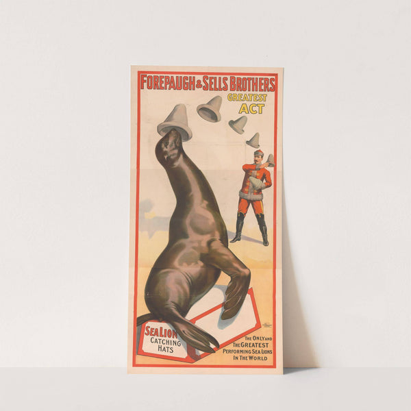Forepaugh & Sells Brothers greatest act. The only and the greatest performing sea lions in the world. … (1900) by Strobridge & Co. Lith.