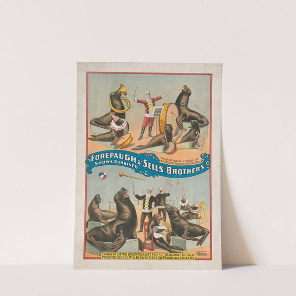 Forepaugh & Sells Brothers shows combined The great and only troupe of marvelously educated sea lions & seals (1899) by Strobridge & Co. Lith.