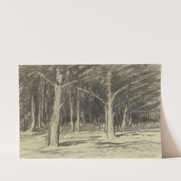 Forest by Sion Longley Wenban