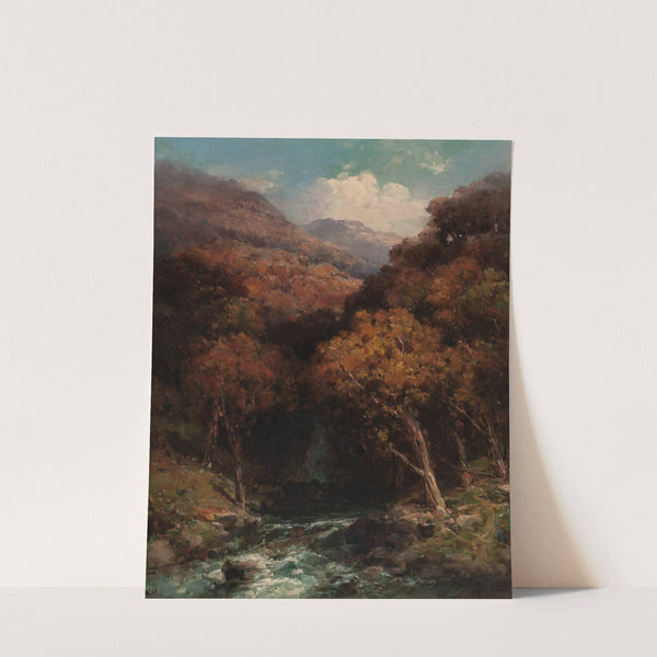 Forest Creek Bed by Andrew Melrose