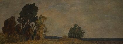 Forest Edge