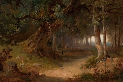 Forest edge