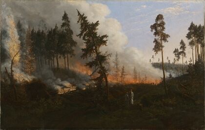 Forest fire