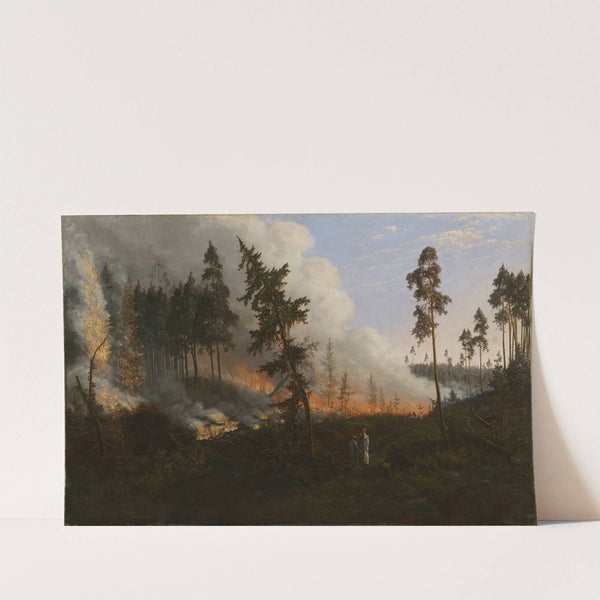 Forest fire by Vincentas Dmachauskas