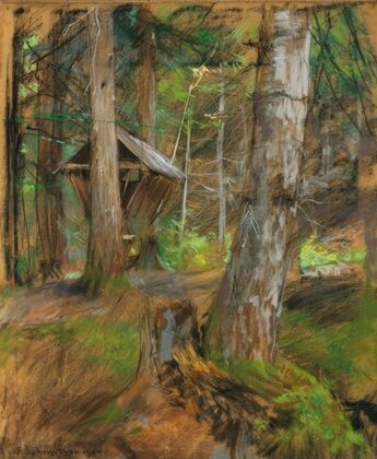 Forest floor and manger