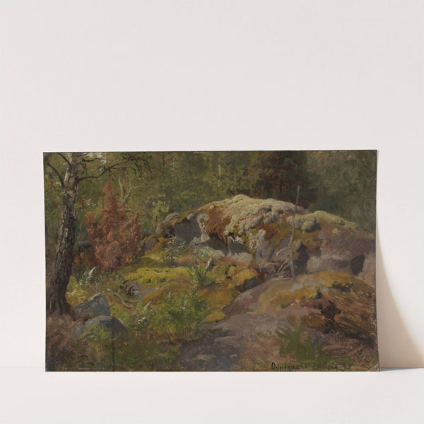 Forest Floor by Hans Gude