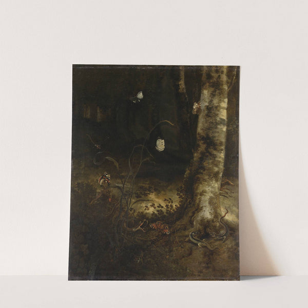 Forest Floor with a Snake, Lizards, Butterflies and other Insects by Otto Marseus van Schrieck