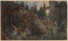 Forest growing on a mountain slope (1850-1881)