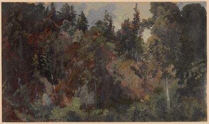 Forest growing on a mountain slope (1850-1881)