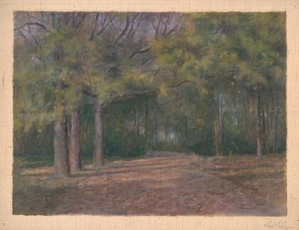 Forest II.